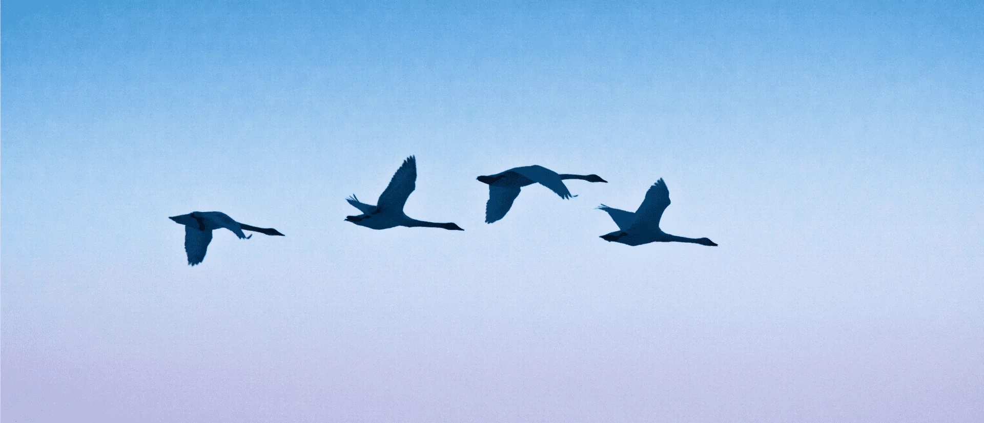 Мурманская область