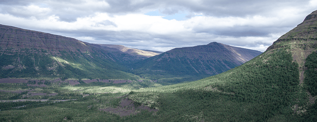 Развитие корпоративной культуры