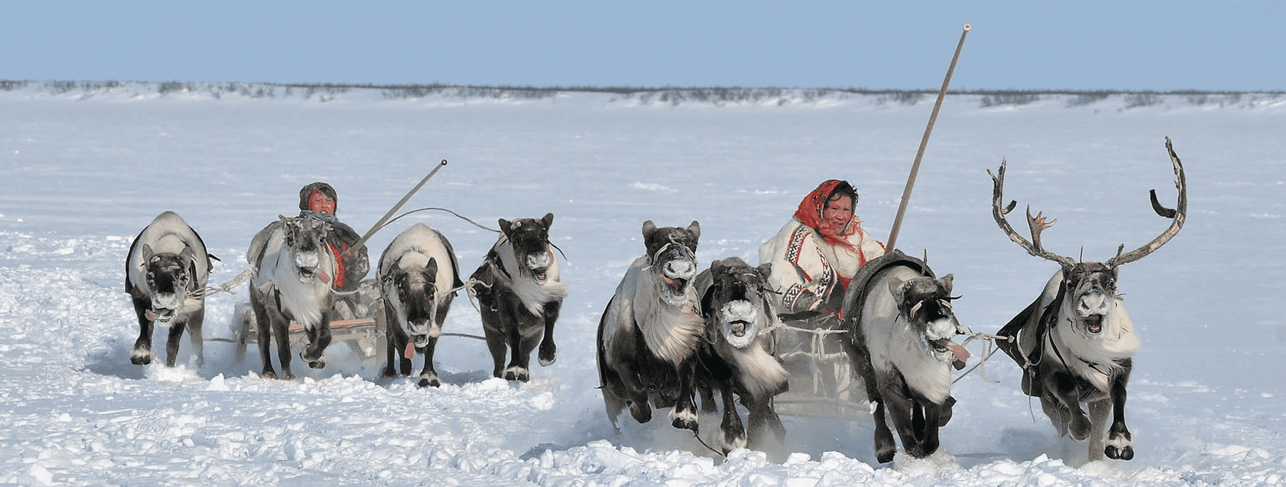 «Мир новых возможностей»