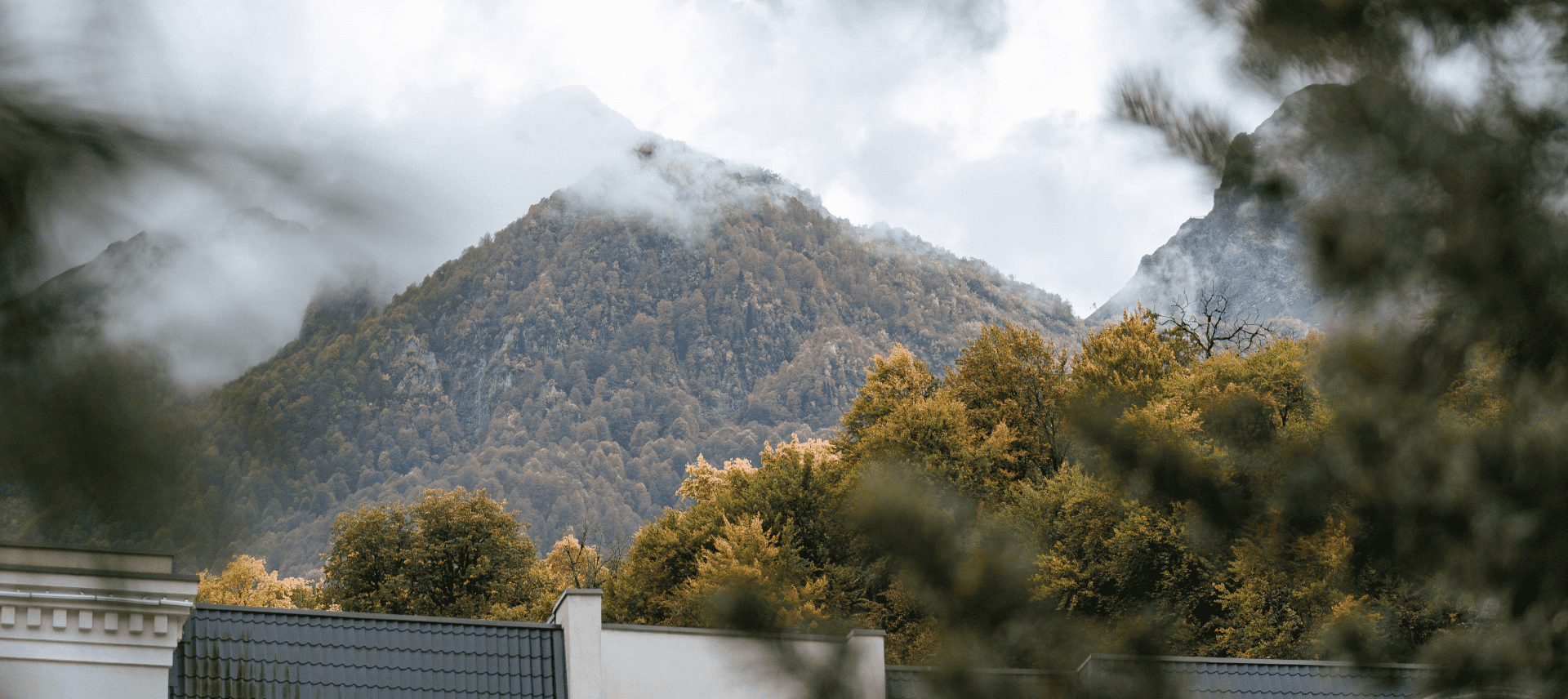 Развитие бизнес-среды