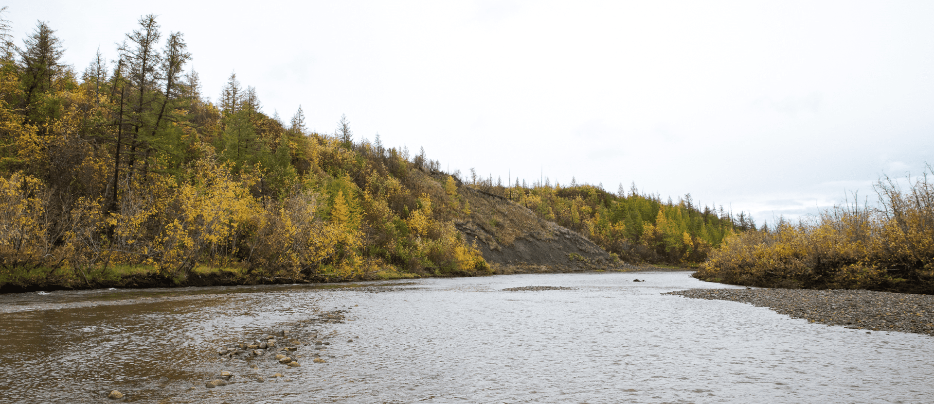 Внутренний контроль